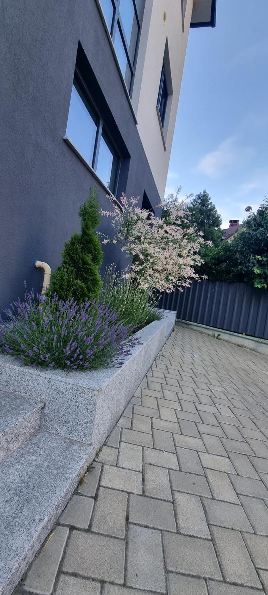 Yla Studio- Piatra Neamţ Exteriér fotografie